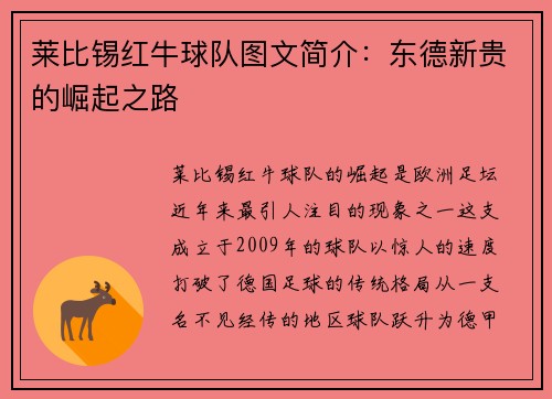 莱比锡红牛球队图文简介：东德新贵的崛起之路